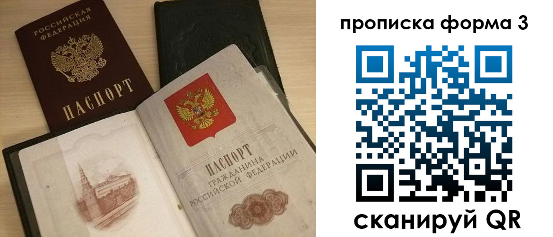 прописка для школы в Тосно